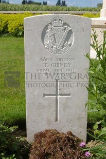 SPANBROEKMOLEN BRITISH CEMETERY - GIBNEY, T